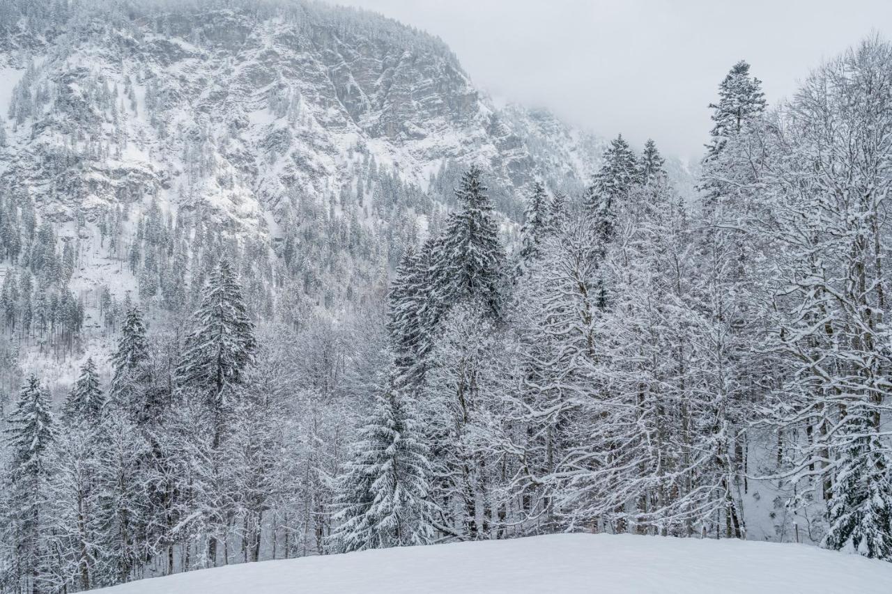 Appartamento Waldgut Oberstdorf Esterno foto